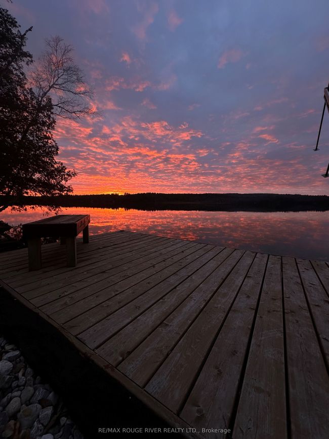 1039 W Cottage Dr, House other with 4 bedrooms, 2 bathrooms and 8 parking in Ompah ON | Image 35