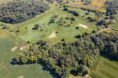 TBD 211th Ave, Le Center, MN, 56057 | Card Image