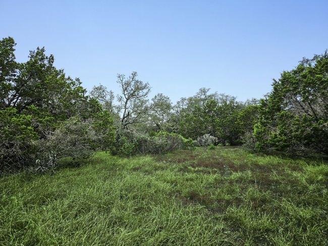 157 Verbena Cir, Home with 0 bedrooms, 0 bathrooms and null parking in Spring Branch TX | Image 28