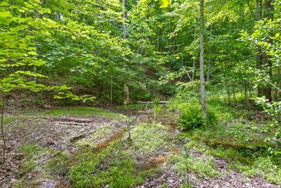 Lot 534 Wilderness Way | Image 3