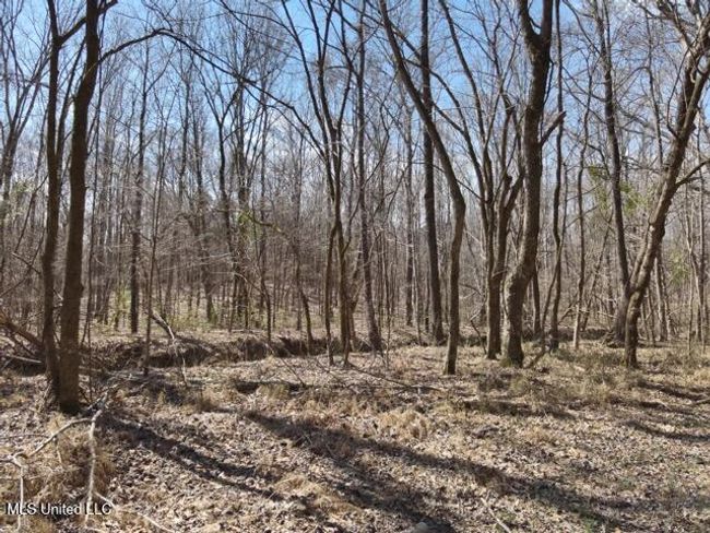 DJI_20250303121846_0009_V Medium | Image 15