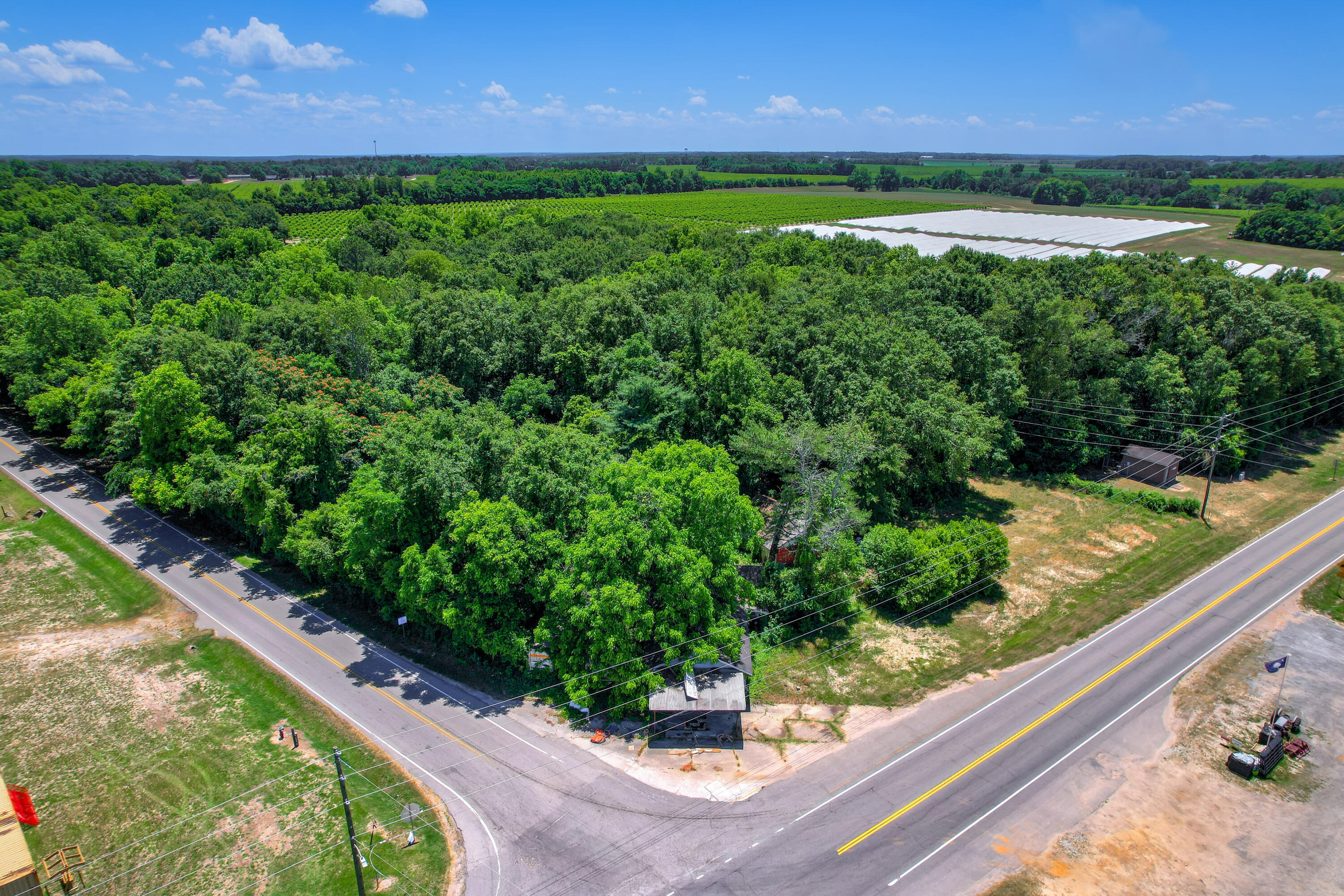 Commercial Sale in Monetta 3