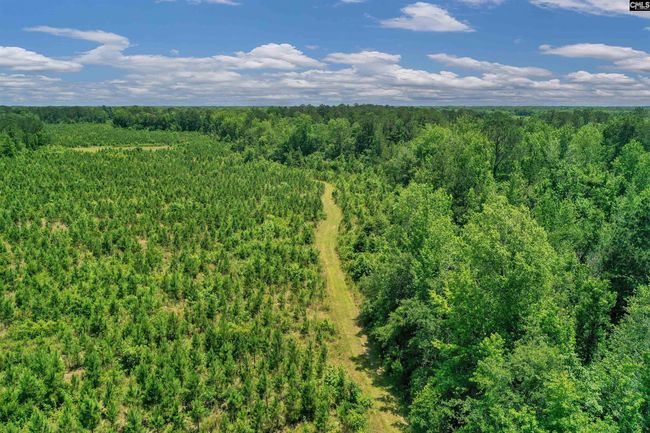0000 N Brewington Rd, Home with 0 bedrooms, 0 bathrooms and null parking in Manning SC | Image 37