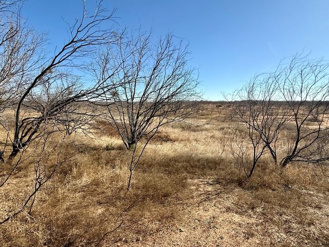 00 W Hwy 158, Home with 0 bedrooms, 0 bathrooms and null parking in Bronte TX | Image 13