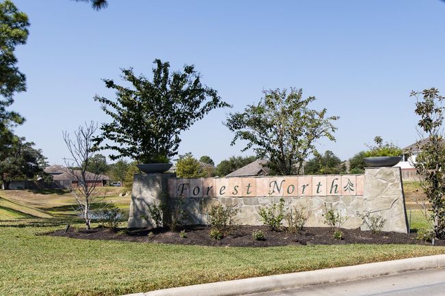 Welcome to Forest North. | Image 45