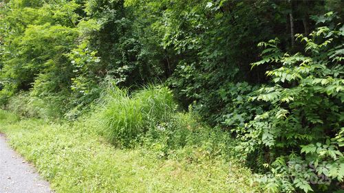 830 Cove Creek Ln, Weaverville, NC, 28787 | Card Image