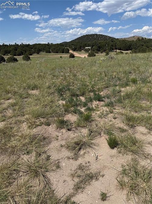 1739 17th Trl, Cotopaxi, CO, 81223-8207 | Card Image
