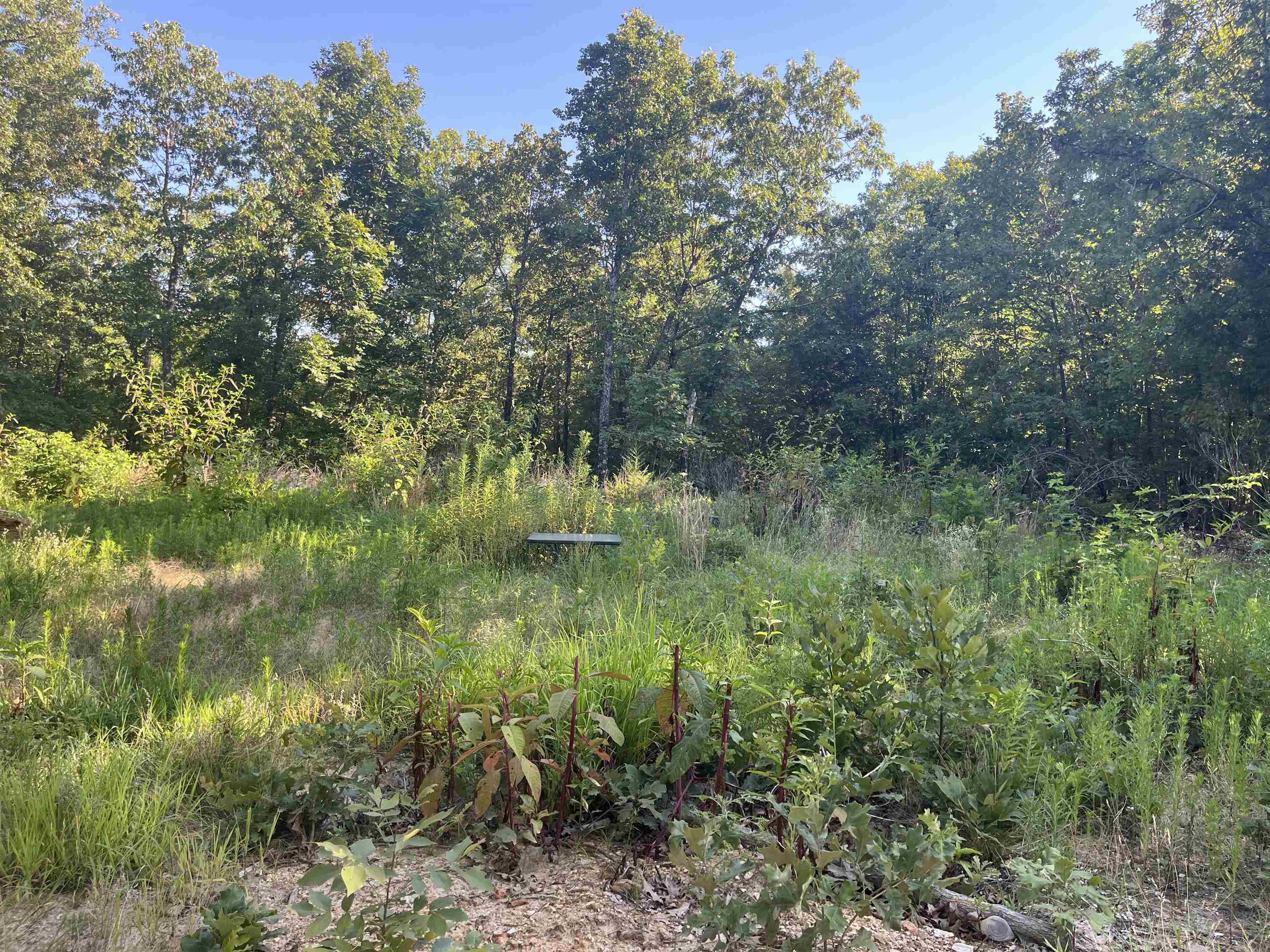 Mcfadden Rd, Hardy, AR 72542