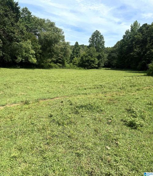 0-152 County Road 228, Muscadine, AL, 36269-3371 | Card Image