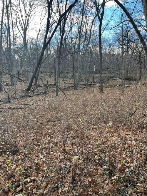 6835 Panorama Dr, Panora, IA, 50216-8713 | Card Image