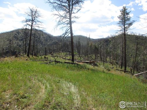 0 Hawk Valley Dr, Bellvue, CO, 80512 | Card Image