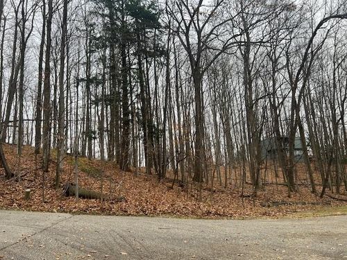 0000 Wasservalden Strasse, Custer Township, MI, 49615 | Card Image