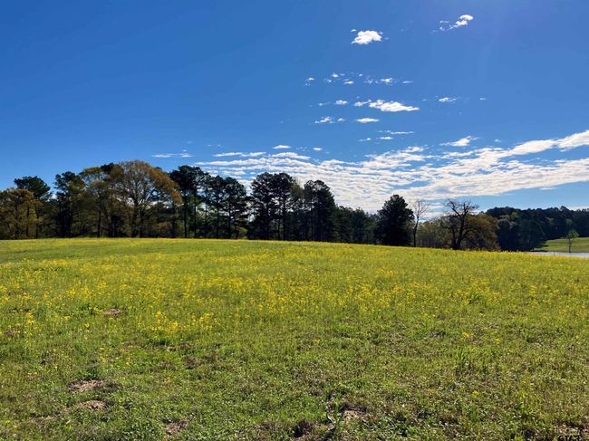 Lot 49 White Oak Creek Ranch, Home with 0 bedrooms, 0 bathrooms and null parking in Big Sandy TX | Image 4