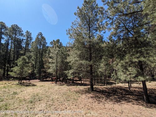 Lots 2 & 3 2nd St, Ruidoso, NM, 88345 | Card Image