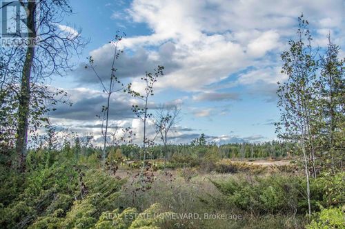Lot 254 Mcguire Beach Road, Kawartha Lakes (Carden), ON, K0M2B0 | Card Image