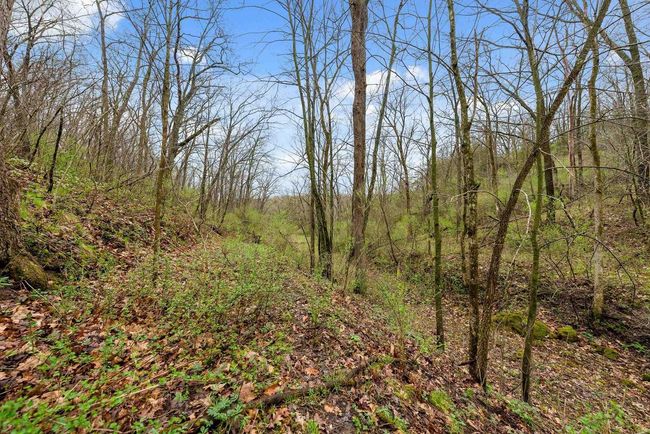 36480 Bouska Rd, Home with 0 bedrooms, 0 bathrooms and null parking in Prairie Du Chien WI | Image 28
