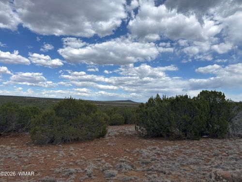 33 Co Road, Vernon, AZ, 85940 | Card Image