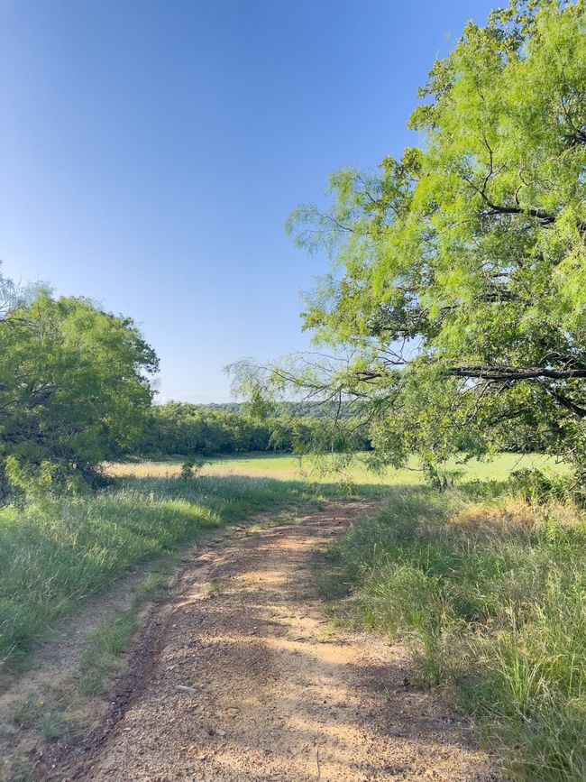 View of yard | Image 15