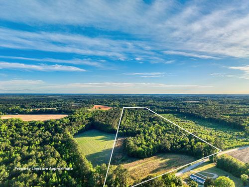 TBD Chair Rd, Hemingway, SC, 29554 | Card Image