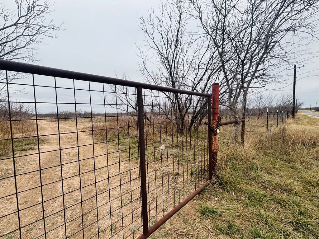 Land in San Angelo 2