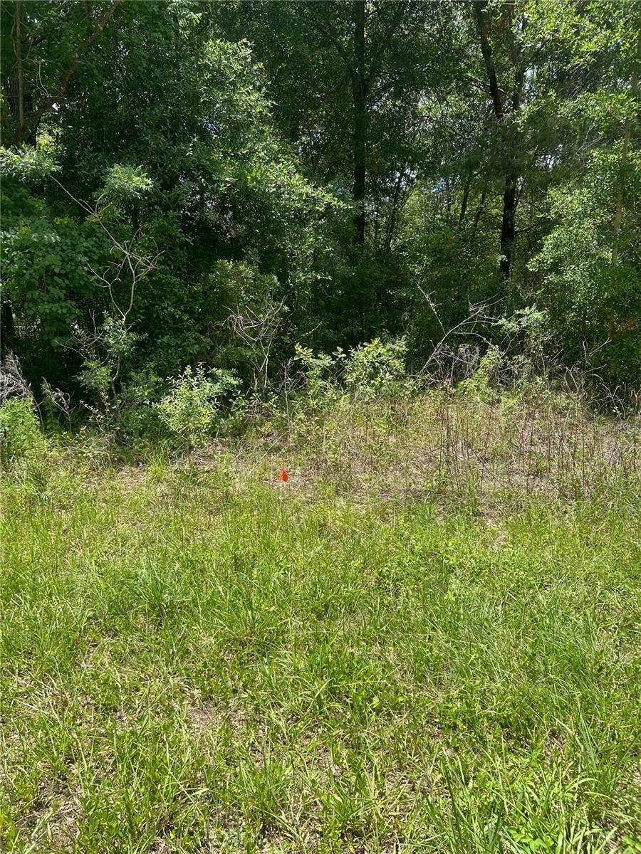 Land in CITRUS SPRINGS 5