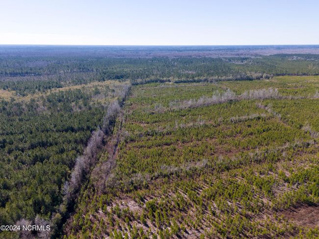 00 Sykes Town Rd, Home with 0 bedrooms, 0 bathrooms and null parking in Currie NC | Image 11