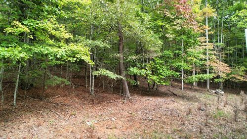 Lot32 Cold Springs Rd, Morganton, GA, 30560 | Card Image