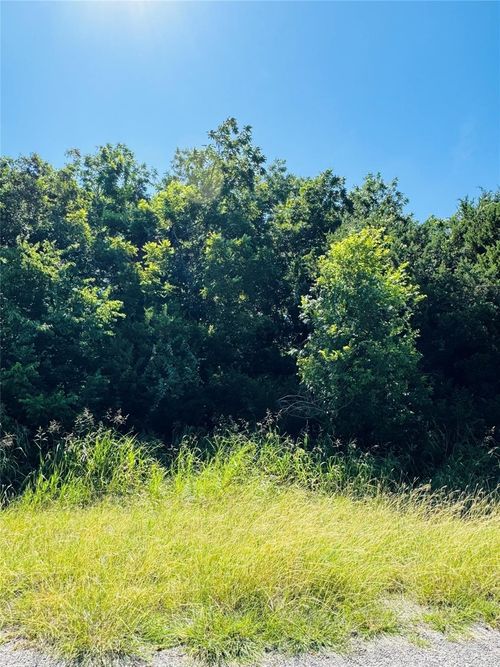 1277 Paint Brush Ct, Whitney, TX, 76692-5625 | Card Image