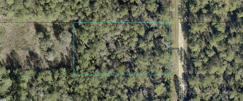 10065 Carpenter Ave, Hastings, FL, 32145-8810 | Card Image