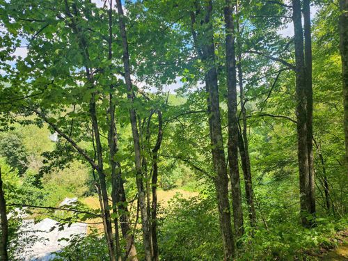 166 Brown Rd, Wallace, WV, 26448-8547 | Card Image