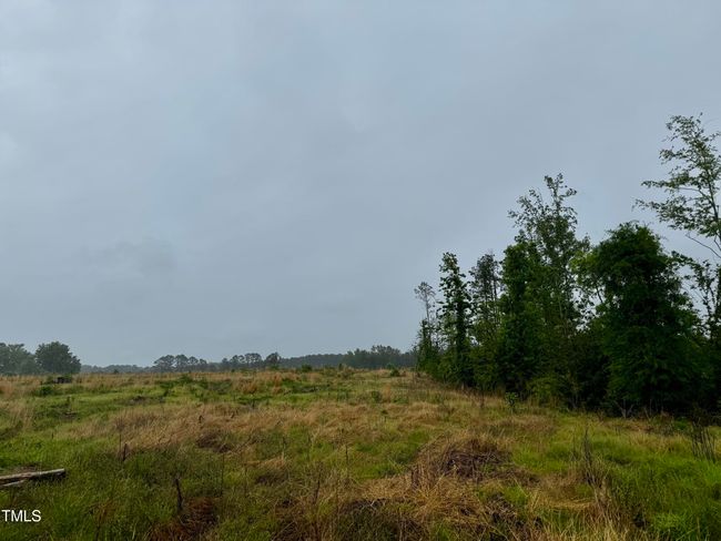 8 | Image 4