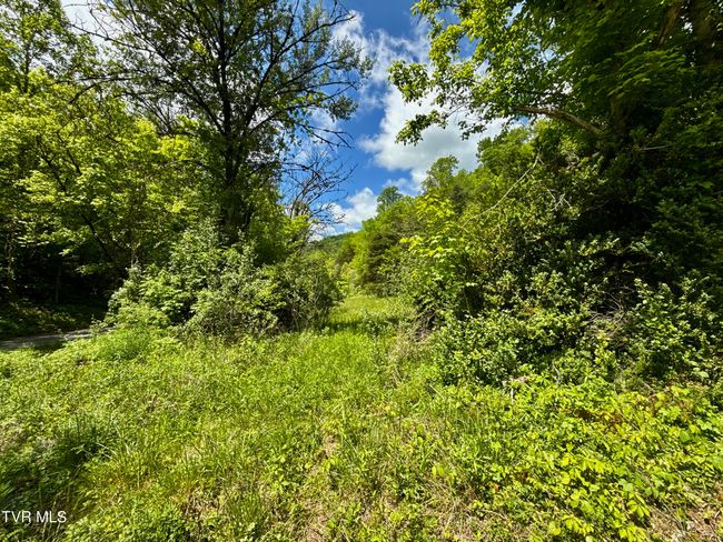 47 Tbd Enoch Rd, Home with 0 bedrooms, 0 bathrooms and null parking in Eidson TN | Image 7