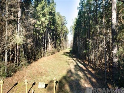 tract V-4 Jim Price Rd, Greenwell Springs, LA, 70739 | Card Image