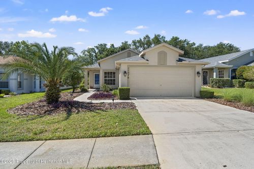 11078 Heathrow Ave, SPRING HILL, FL, 34609-0237 | Card Image