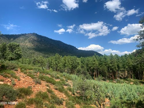 49-Lot 49 W Ruin Hill Loop Loop, Pine, AZ, 85544 | Card Image