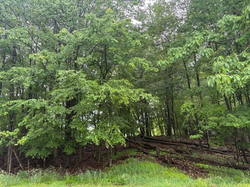 6 Treasure Lake Rd, DU BOIS, PA, 15801 | Card Image
