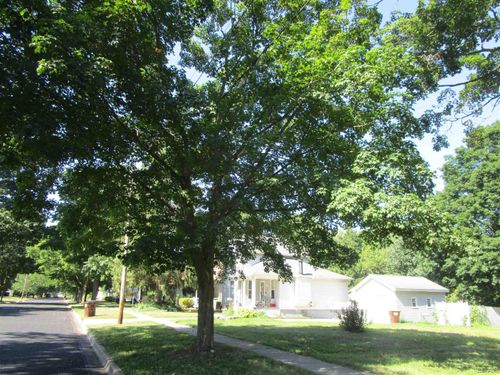 204 Budlong St, Adrian, MI, 49221-1911 | Card Image