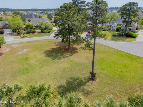 1007 Natural Springs Way, Leland, NC, 28451-4114 | Card Image