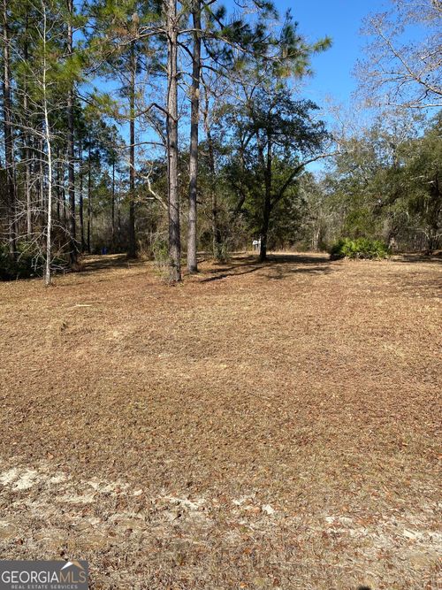 LOT-1 1185 Janells River Dr, Folkston, GA, 31537 | Card Image