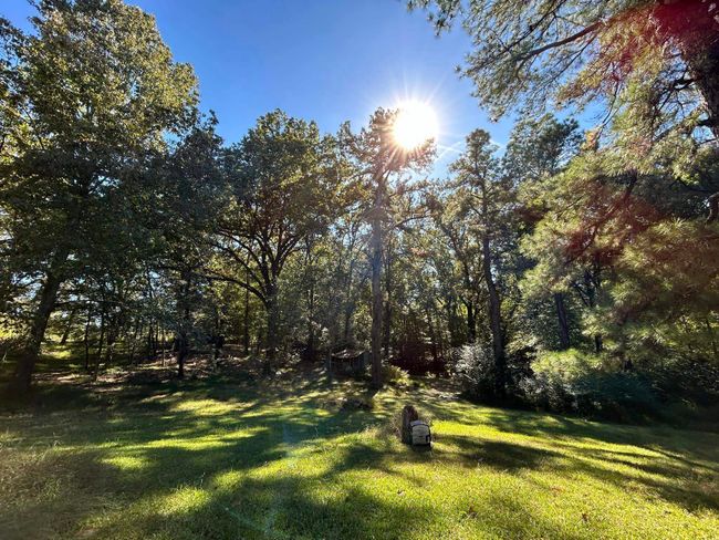 11361 Macon, House other with 2 bedrooms, 1 bathrooms and null parking in Eads TN | Image 11