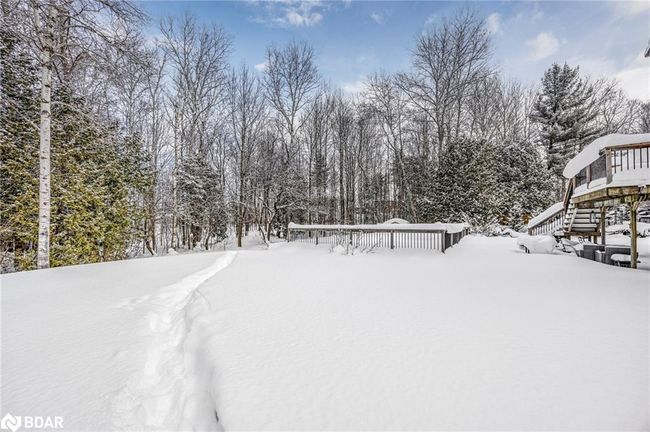 11 Maple Crt, House other with 3 bedrooms, 3 bathrooms and 8 parking in Coldwater ON | Image 41