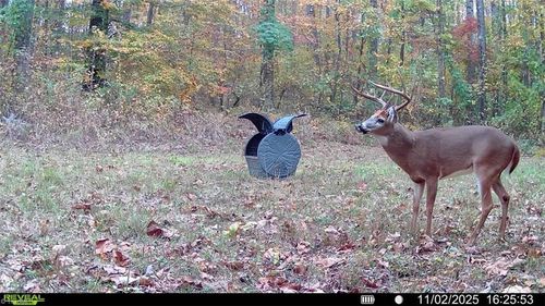 00 Turner Dr, Reidsville, NC, 27320 | Card Image