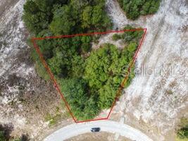 Land in KISSIMMEE 3