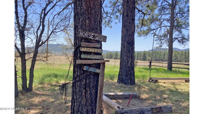 Horseshoe photo | Image 17