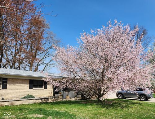 6224 Powell Dr, Indianapolis, IN, 46221-3814 | Card Image