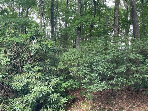 TBD Dogwood Trl, Hillsville, VA, 24343 | Card Image