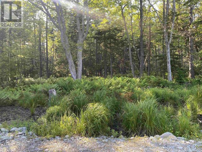 78 White Point 1 Rd, Home with 0 bedrooms, 0 bathrooms and null parking in Hunts Point NS | Image 7
