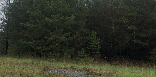 6081 Hwy 89, Clifford Road, Home with 0 bedrooms, 0 bathrooms and null parking in Minto ON | Image 9