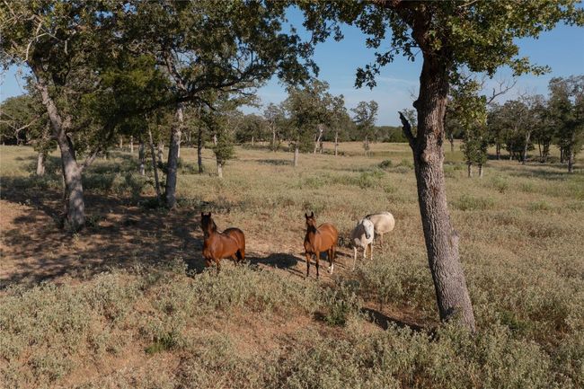 View of undeveloped land with rural landscape | Image 5