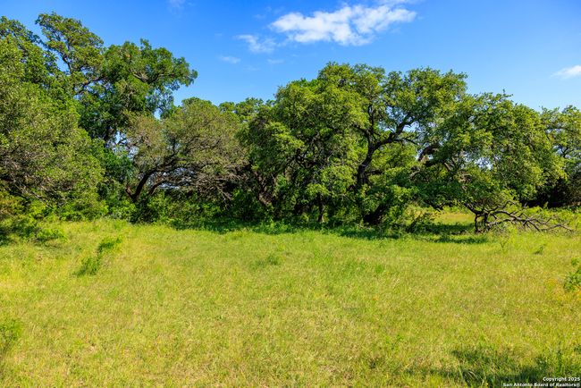 0000 Langes Mill Rd, Home with 0 bedrooms, 0 bathrooms and null parking in Doss TX | Image 31